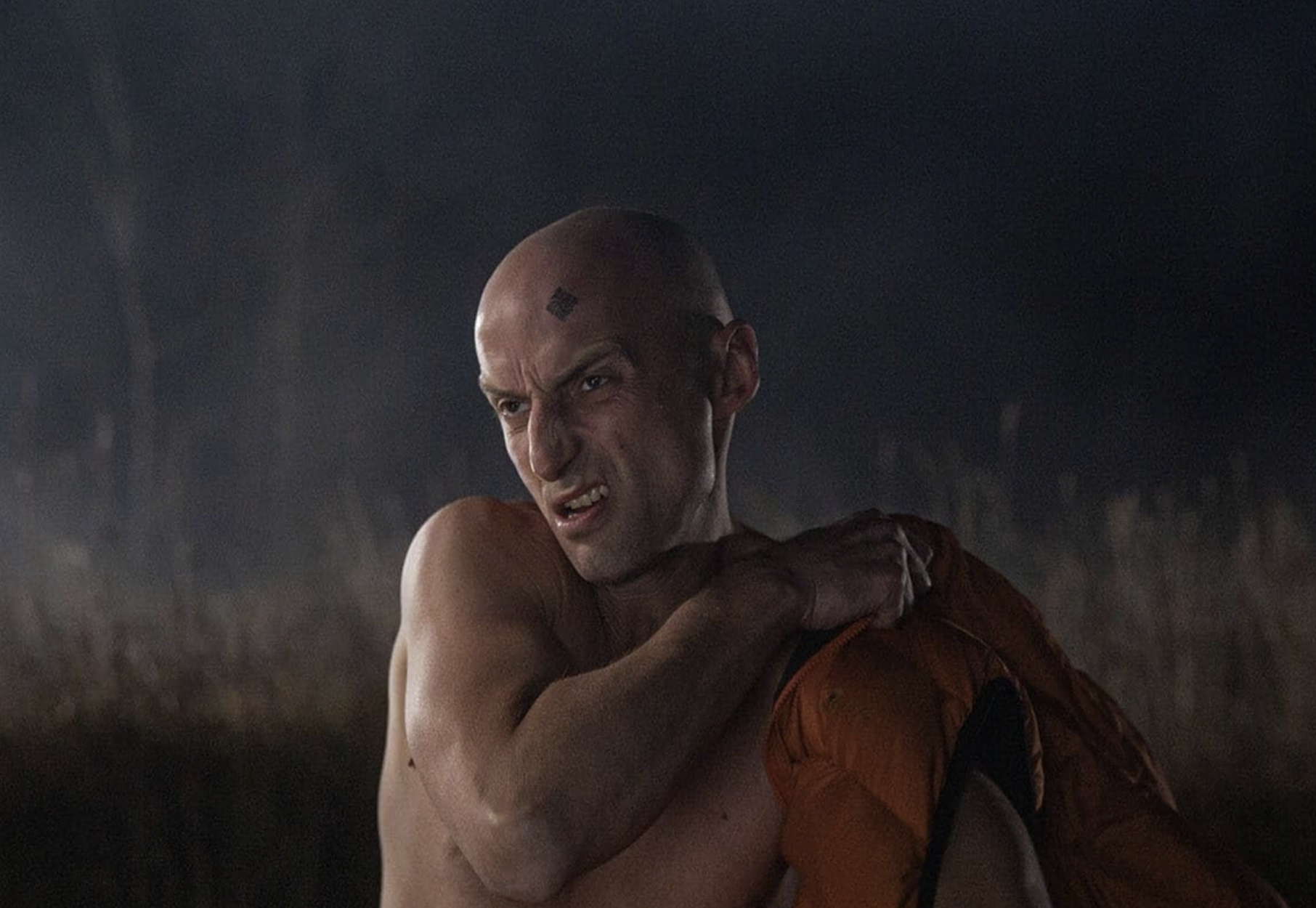 Alien 2 or: The Return of Valdis in 17 Chapters